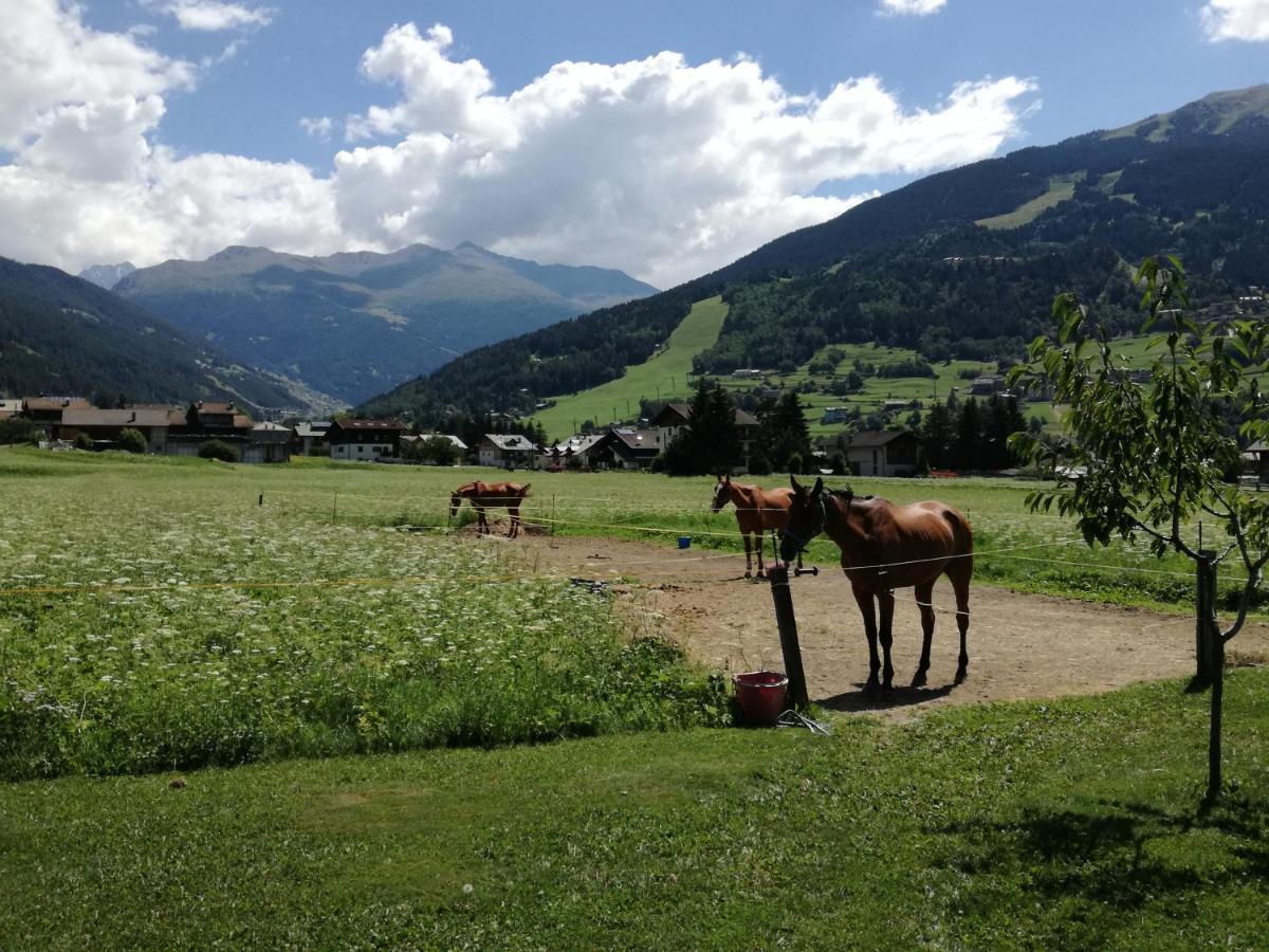 Casa Giulia Lejlighed Bormio Eksteriør billede
